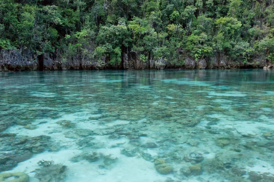 Photo of These Islands On The Shores Of Indonesia Offer A Taste Of The Best Scuba Diving In The World by Aakanksha Magan