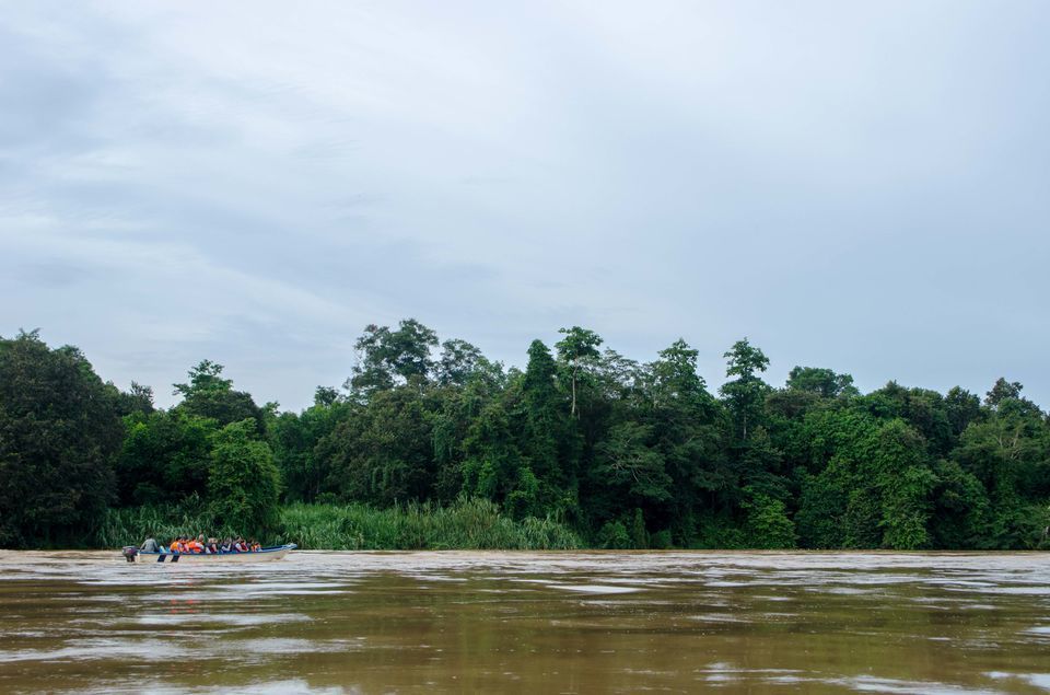 Photo of Kinabatangan, Sabah, Malaysia by Rohan Sood