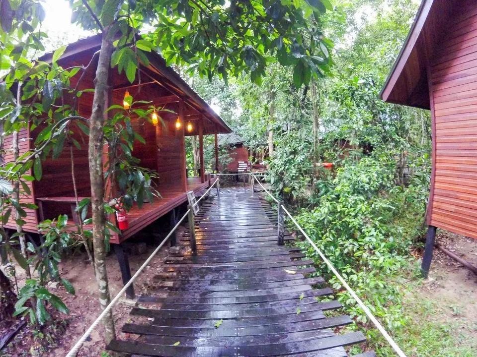 Photo of Sukau Rainforest Lodge, Kota Kinabalu, Sabah, Malaysia by Rohan Sood