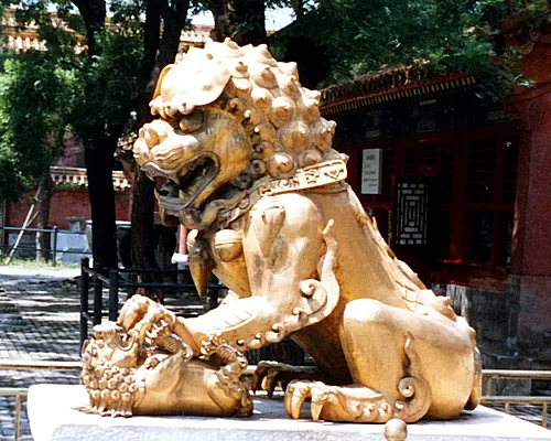 Photo of 中国北京东城区The Palace Museum by Lily Zhiying