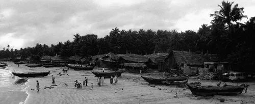 Photo of Malvan Fish Market, Somwar Peth Malvan, Malvan, Maharashtra, India by Ipsita