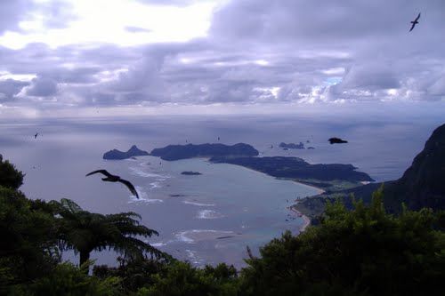 Photo of Mount Gower by Ankita Misra