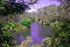 Photo of Lane Cove River Tourist Caravan Park, Macquarie Park, New South Wales, Australia by Lisa D'Cruz