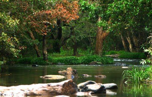 Photo of Coorg, Karnataka, India by Michelle
