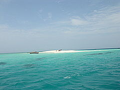 Photo of Zanzibar, Zanzibar, Tanzania by Shaun