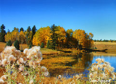 Photo of Pikes Peak, Fort Collins, CO, United States by Mukesh Rawat