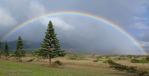 Photo of Lanai, Maui County, HI, United States by Lara Sen