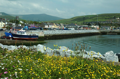 Photo of Dingle, Ireland by Sanket Dhume
