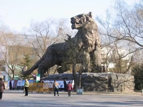 Photo of Beijing Zoo, Beijing, China by Lily Zhiying