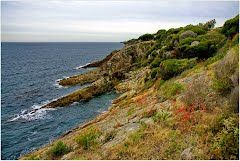Photo of Eden, New South Wales, Australia by Lisa D'Cruz