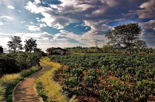Photo of Zona Cafetera, Armenia - Quindio, Colombia by Frank