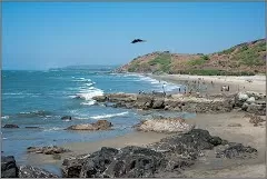 Photo of SPLAT, Anjuna, Goa, India by Mukesh Rawat