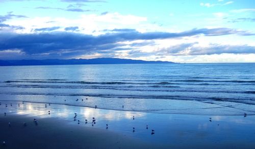 Photo of Tahunanui Beach, New Zealand by Richa Gupta
