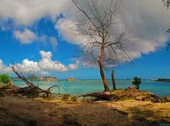 Photo of Praslin, Seychelles by Rebecca