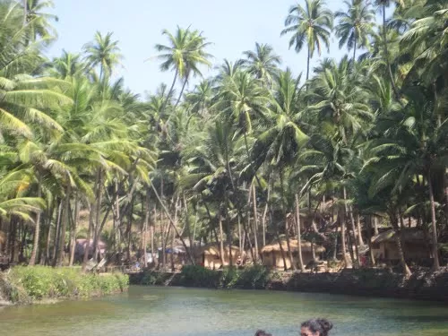 Photo of Goa, India by Denis