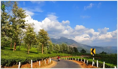 Photo of Munnar, Kerala, India by Divya Shirodkar