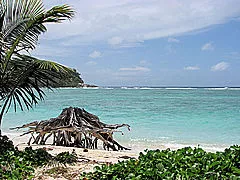 Photo of Praslin, Seychelles by Rebecca