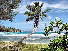 Photo of La Digue, La Digue, Seychelles by Rebecca