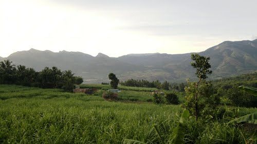 Photo of Marayoor, Kerala, India by Divya Shirodkar