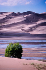 Photo of Great Sand Dunes National Park, Mosca, CO, United States by Mukesh Rawat