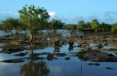 Photo of Aldabra Islands, Seychelles by Rebecca