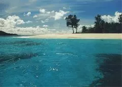 Photo of Cousin, Cousin, Seychelles by Rebecca