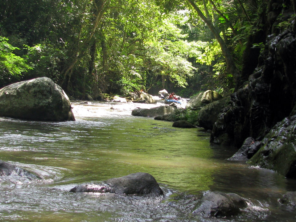Photo of Ayung River. CV, Padangsambian Kaja, Bali, Indonesia by Diana