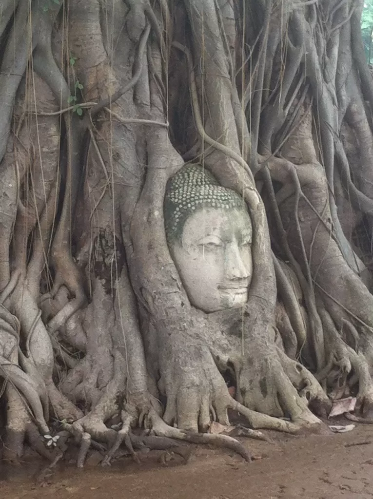 Photo of Ayutthaya Phra Nakhon Si Ayutthaya Thailand by Jane Cook