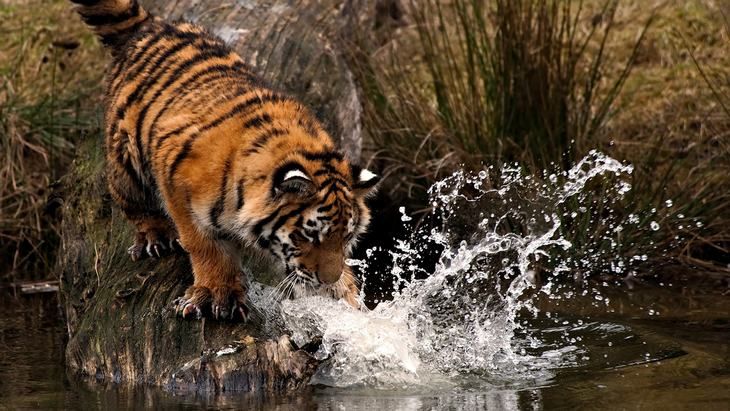 Photo of Set the Trend! Pick These 10 Best Alternatives To Popular Indian Destinations by Arundhati Sridhar