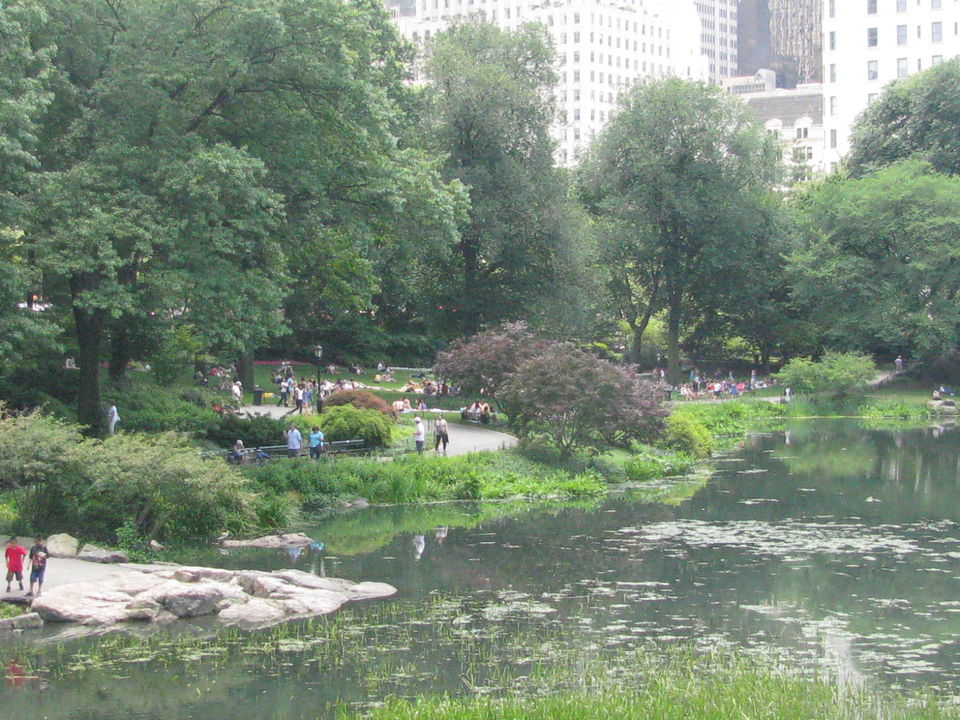 Photo of Central Park, New York, NY by Magandeep Singh