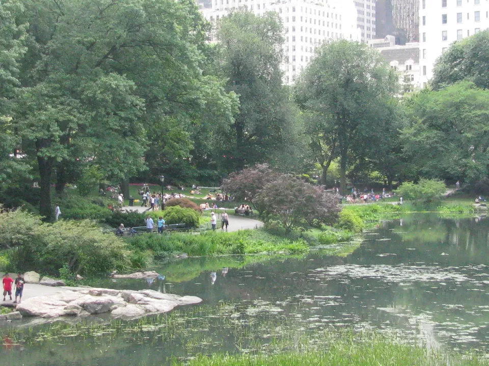 Photo of Central Park, New York, NY by Magandeep Singh