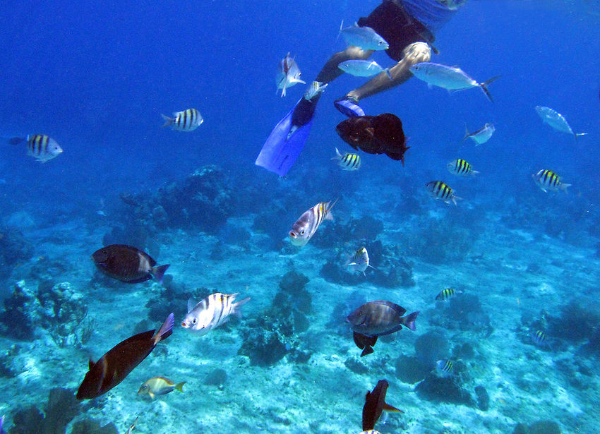 Photo of Cozumel, Cozumel, Mexico by Shubham Yadav
