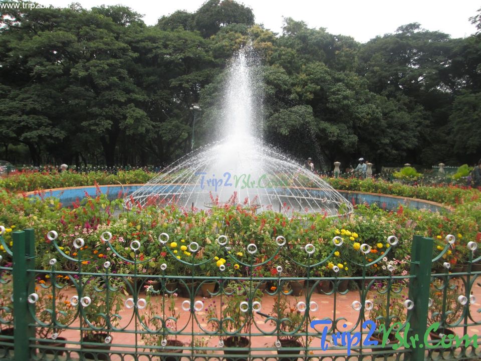 Photo of Cubbon Park, Ambedkar Veedhi, Sampangi Rama Nagar, Bangalore, Karnataka, India by Zubin Jagtiani