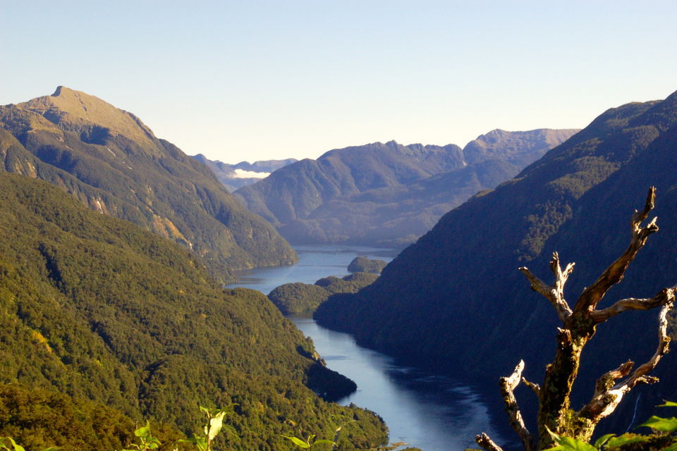 Photo of Doubtful Sound, Fiordland National Park, New Zealand by Terry Gardner