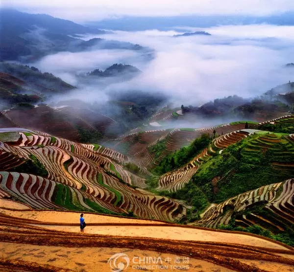 Photo of Dragon's Backbone Rice Terraces by Nancy & Joseph Gill