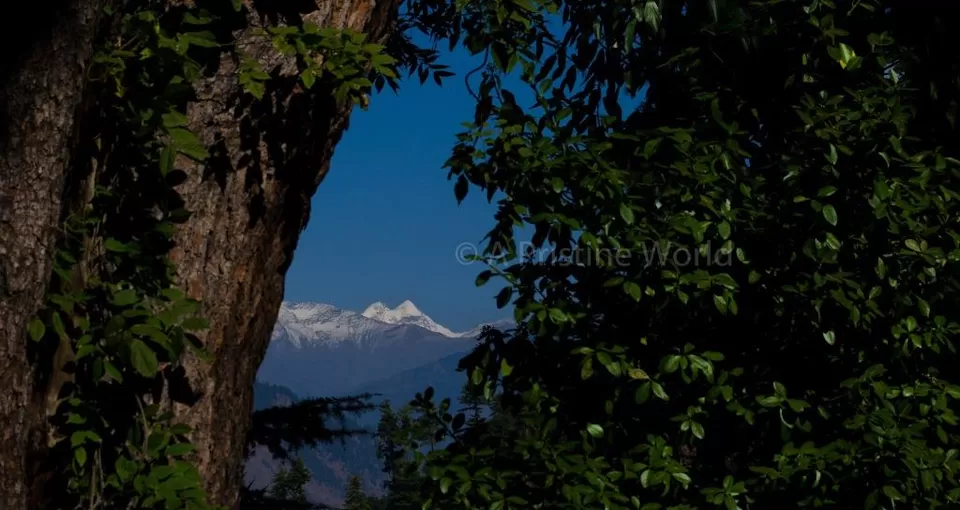 Photo of Roerich Estate by Monidipa Bose