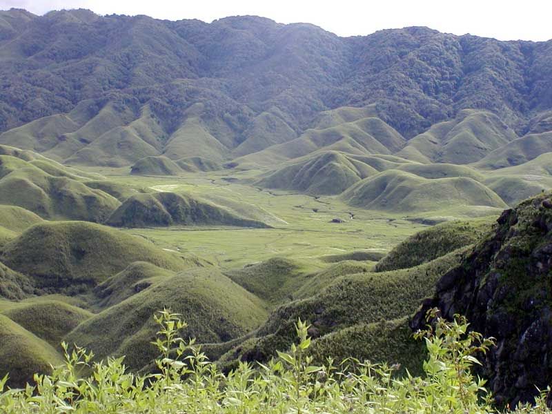 Photo of Dzuko Valley, Kohima, Nagaland, India by Yamini Vijendran