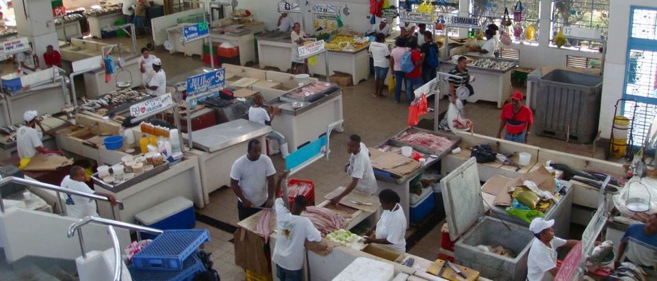 Photo of The Fish Market, Panama by Terry Gardner