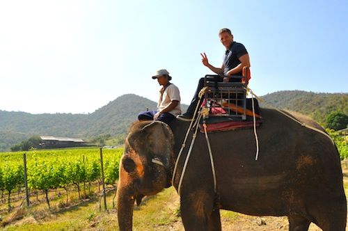 Photo of Hua Hin Hills Vineyard Hua Hin Thailand by Carlos