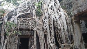 Photo of Siem Reap, Siem Reap Province, Cambodia by Nivi