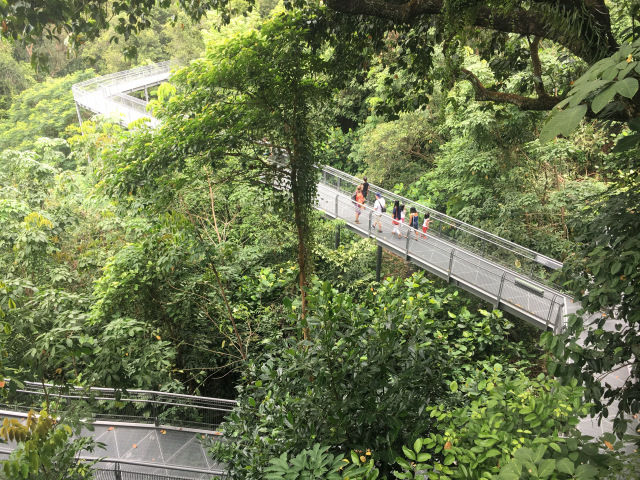 Photo of Marang Trail of NParks Singapore by Nikita Anand