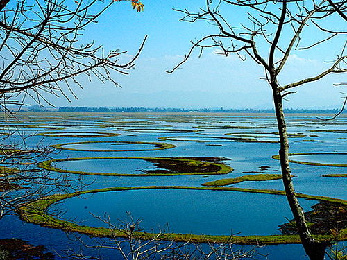 Photo of Keibul Lamjao National Park, Bishnupur, Manipur, India by Rohan Pratap Dash