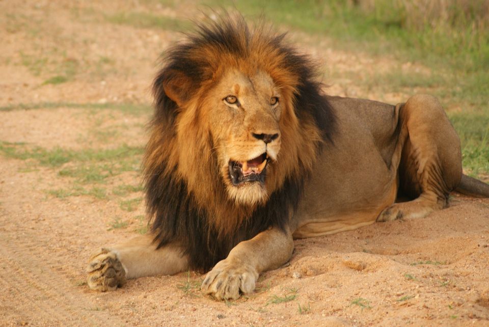 Photo of Kruger National Park, Ehlanzeni, Mpumalanga, South Africa by Kinza Ben Ali