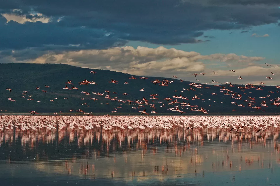 Photo of Nakuru, Kenya by David Patrick