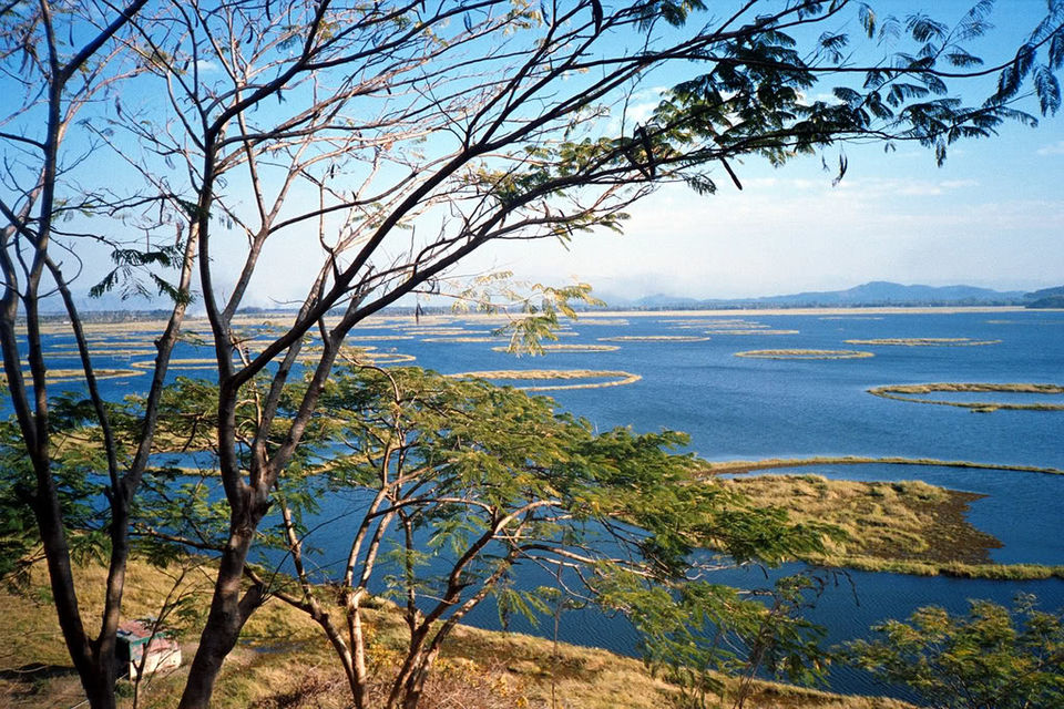 Photo of Loktak Lake, Bishnupur, Manipur, India by Yamini Vijendran