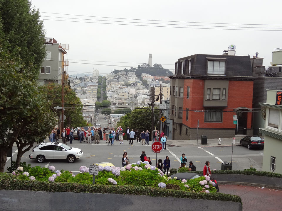 Photo of Lombard Street, San Francisco, CA by Magandeep Singh