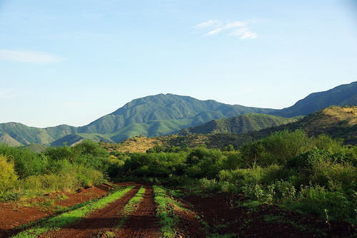 Photo of Mago National Park, Omo, Southern Nations, Nationalities, and People's Region, Ethiopia by Yenew