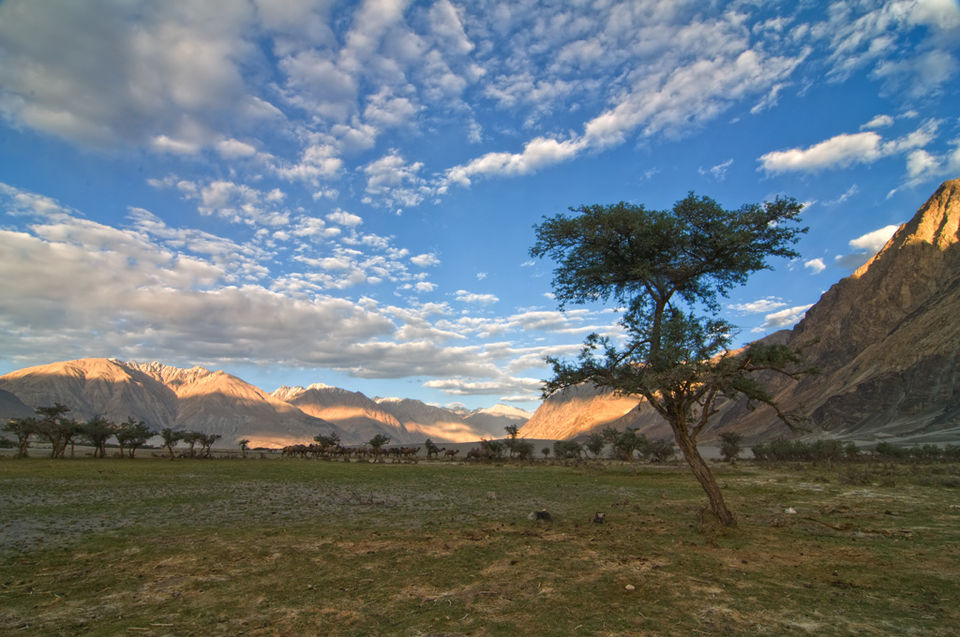Photo of Manali, Himachal Pradesh, India by Helmet Stories