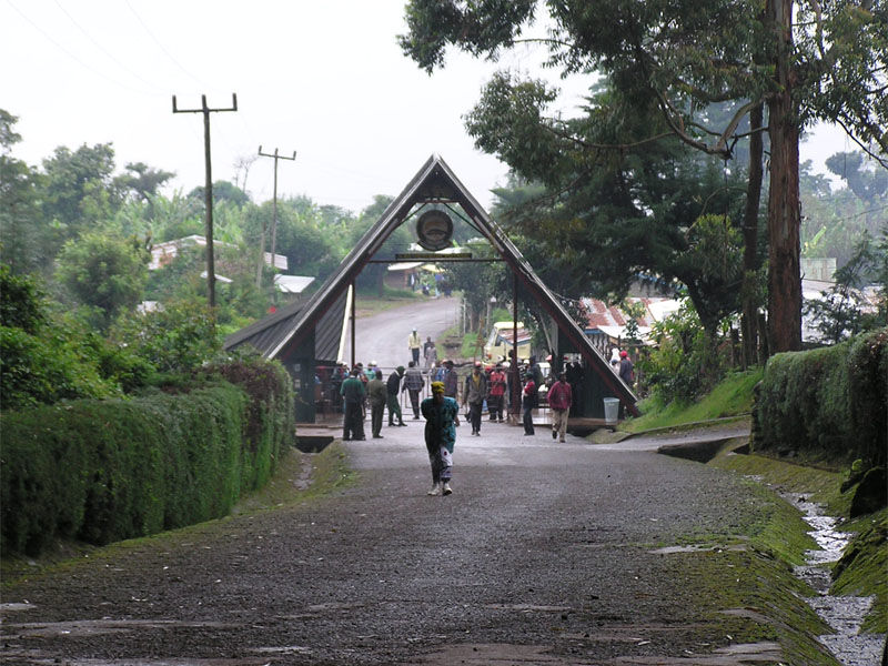 Photo of Marangu Road, Moshi, Kilimanjaro, Tanzania by Sameer