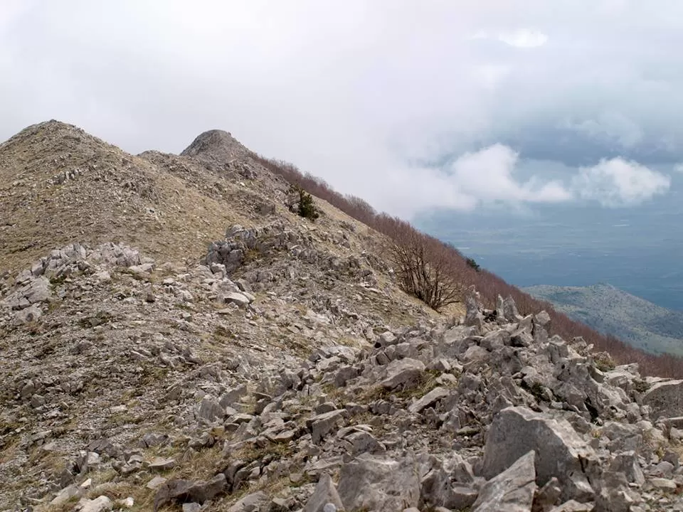 Photo of Via Manfriana, Castrovillari, Cosenza, Italy by Anna 